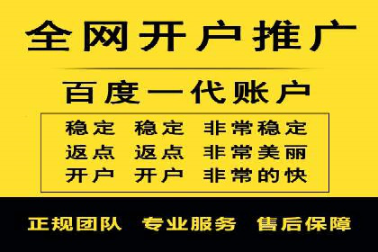 电商平台信息流广告的投放策略与效果评估案例